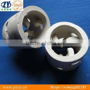 ceramic pall ring for tower packing.white ceramic ring