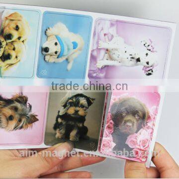 Fridge Magnet 2014 New in Market photo-2