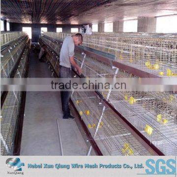 H type poultry battery cages