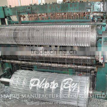 PVC Coated Welded Wire Mesh photo-2
