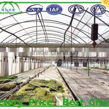 Commercial Hydroponics Greenhouse Cost for Sale photo-4