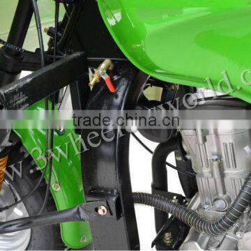 Website 2015 China Popular Design 175cc Electric Pedicab for Sale photo-2