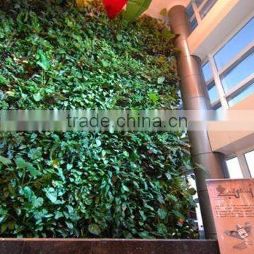 Garden Decorative Plastic Planter Pots Wall Planters SL-YT5030 photo-5