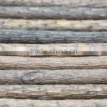 12 Pcs Pine Coloring Pencil, 12 Nature Wooden Coloring Pencil, 12 Pieces Eco-Friendly Color Pencil photo-5