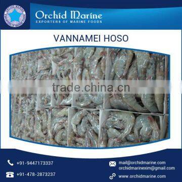 Hygienically Processed Vannamei Shrimp HOSO for Export