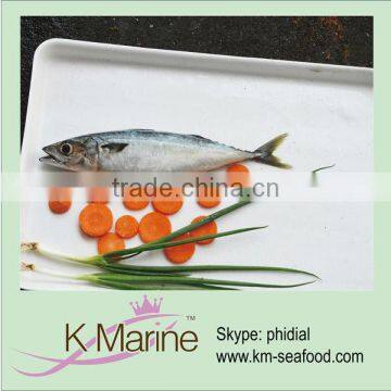 Wholesale Fresh Horse Mackerel