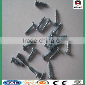 screw/collated drywall screws/galvanized drywall screw