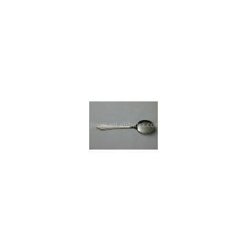 Stainless Steel Spoon