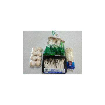 fresh and dried mushrooms