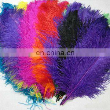 25-30cm Colorful Ostrich Feather For Wedding Dress 2014 photo-2
