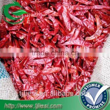 supply red chillies for pungent spice