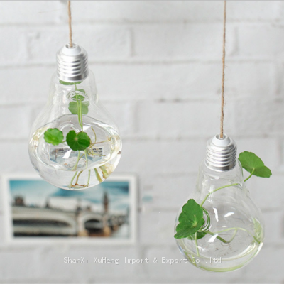 Home Decoration Hand-blown Hanging Mini Indoor Bulb Shaped Glass Plant Terrariums Vase photo-5