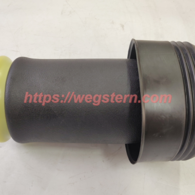 37126790078 371226790081 37126790082 37126790083 Hot Selling Nice Quality Rear Air Spring for BMW X5 E70 X6 E71 E72 Rear LH & RH 2007-2012