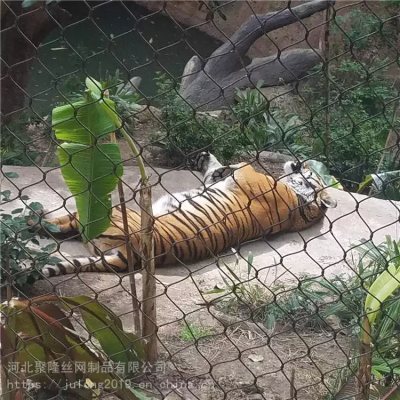 Stainless Steel Wire Rope/Cable Mesh Used in Zoos