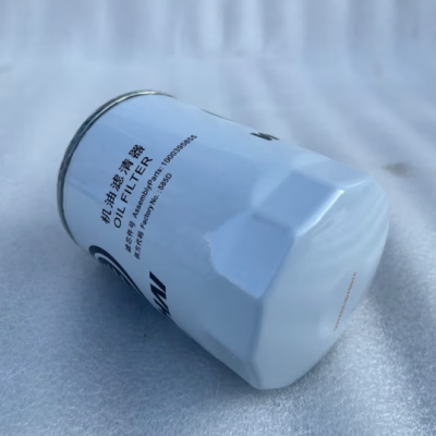 Hot Selling High Quality Fuel Filters 1000395855 Oil Filter for Wei Chai Top Construction Machinery Parts photo-4
