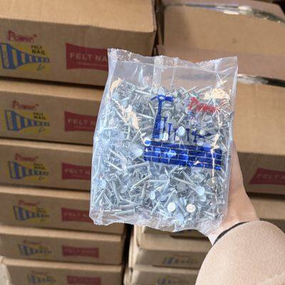 Hot-Dipped Galvanized Clout Head Nails for Industrial Use 1kg/bag Custom Orders photo-3