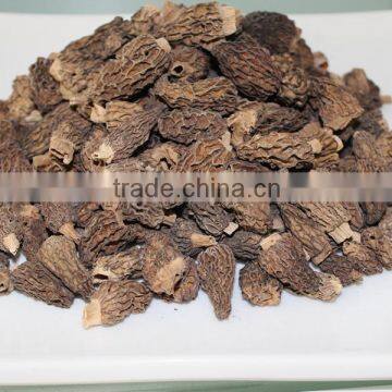 dried morel mushrooms