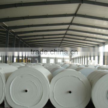 polyester felt for SBS APP asphalt felt