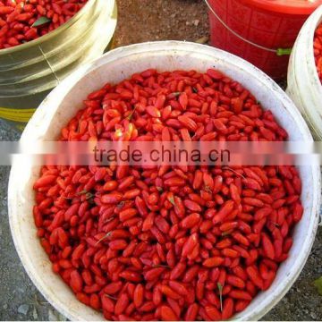 NINGXIA GOJI BERRY MANUFACTURE, GOJI WHOLESALE, 2015 FRESH GOJI! DRIED GOJI BERRIES SIZE 380, HOT SELLING!