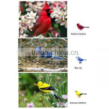 Russian Hot Selling 2015 Newest App Control Chirpy Birds Sing Toys by Iphone System Play photo-2