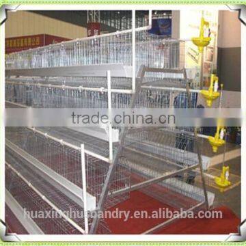 Quail Cages and Equipment of Chicken Coop