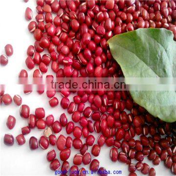 high quality adzuki red beans