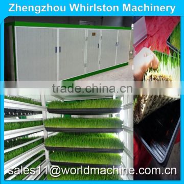 Hydroponic growing rooms specifically designed to sprout grain and legume seeds in trays