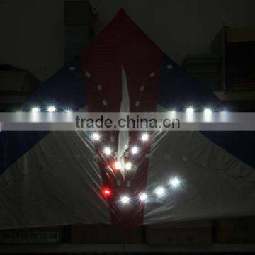 own design led kites