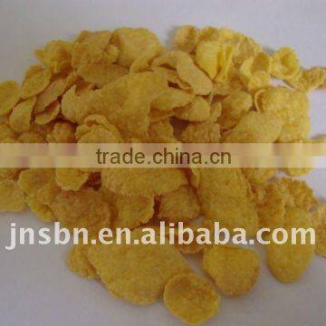 Corn flakes Breakfast Cereals Plant