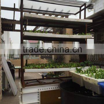 2015 New Aquaponics Hydroponics System Fish Tank 1 Ton photo-3