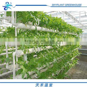 Hot Sale Plastic Film Greenhouse, Vegetables Greenhouse photo-6
