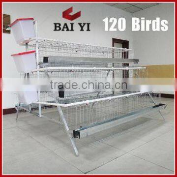 Best Sale Chicken Egg Layer Cages in South Africa