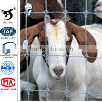 2014 Durable Firm Livestock Metal Cattle Fence,Wholesale Bulk Cattle Fence,Cattle Fence (Hot Sale)