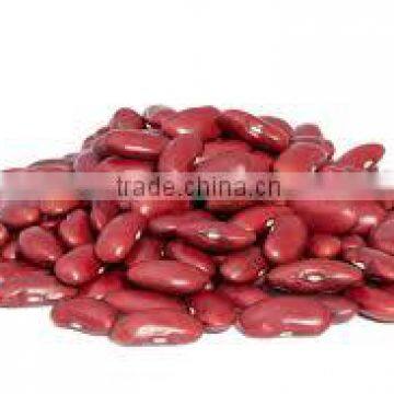 Kidney Bean