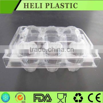 25g weight plastic egg trays 2*5 egg packaging plastic tray