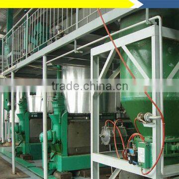 Vegetable Seed Processing Machine With High Quality. photo-6