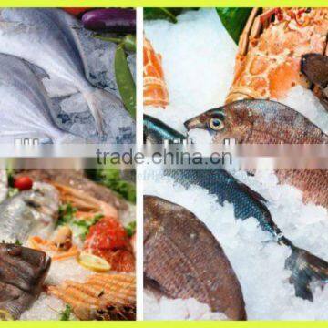 Big Capacity Plate Ice Machine For Fishing/Fruits/Vegetables (10Tons/day)
