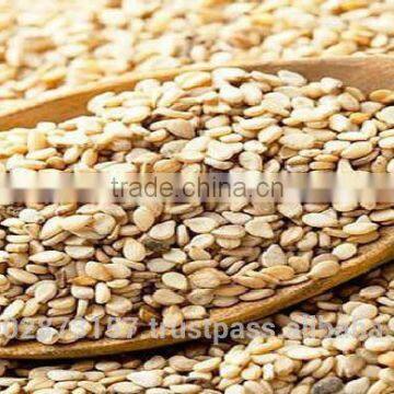 Natural Sesame Seeds/Sesame Seeds