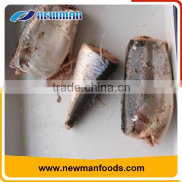 China can factory sale cheap healthy brine delicious canned mackerel