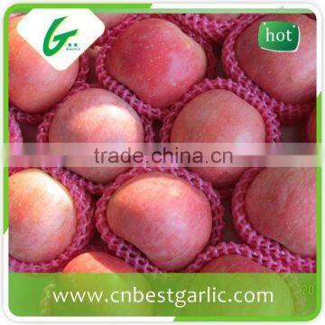 New fresh crisp red fuji apple in shandong