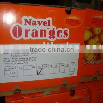 Chinese fresh navel orange