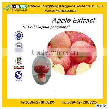 Pure Apple Powder contains Polyphenols from GMP manufacturer