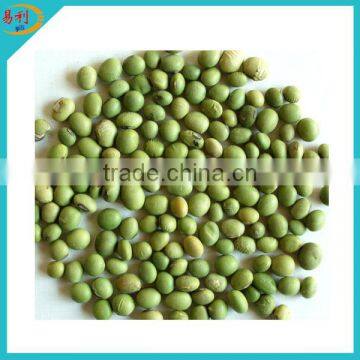 IQF frozen green peas from manufacturer