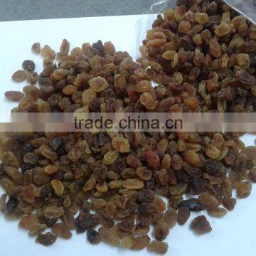 Dried Malyar Raisin