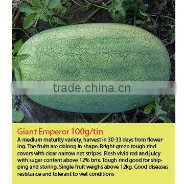 GIANT EMPEROR Hybrid Watermelon Seeds