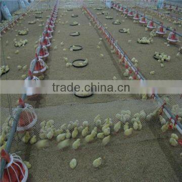 hot sale poultry farming equipment in UAE for chicken broiler