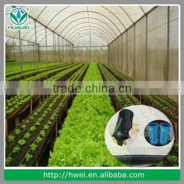 Greenhouse Drip Irrigation System Using Drip Pipe