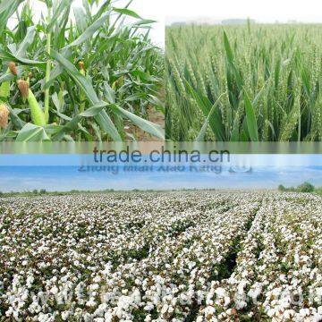 High Quality Competitive Price Organic Plant Hormone Mepiquat Chloride, Mepiquat photo-2