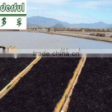 Healthy laver seaweed,sea moss,sushi wholesale