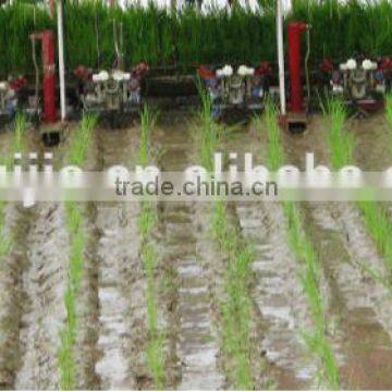 8 Rows 238mm Electric Key Start Rice Transplanter With Hydraulic Device and Cheaper Rice Transplanter Price photo-3
